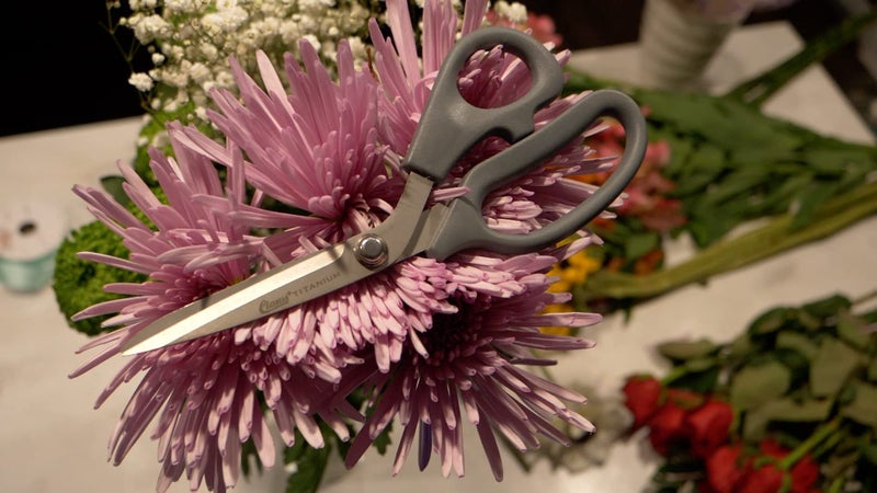 Clauss 18081 8-Inch Bent Titanium Bonded Adjustable Tension Shears with Extra Large Ultraflex Handles, Grey - Image 3